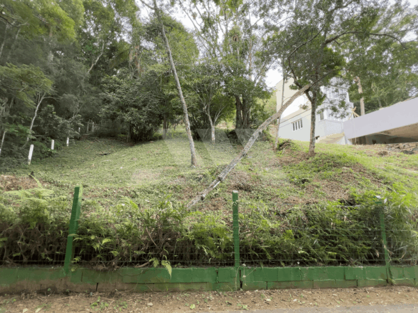 Terreno 920m2 Estaleirinho 9