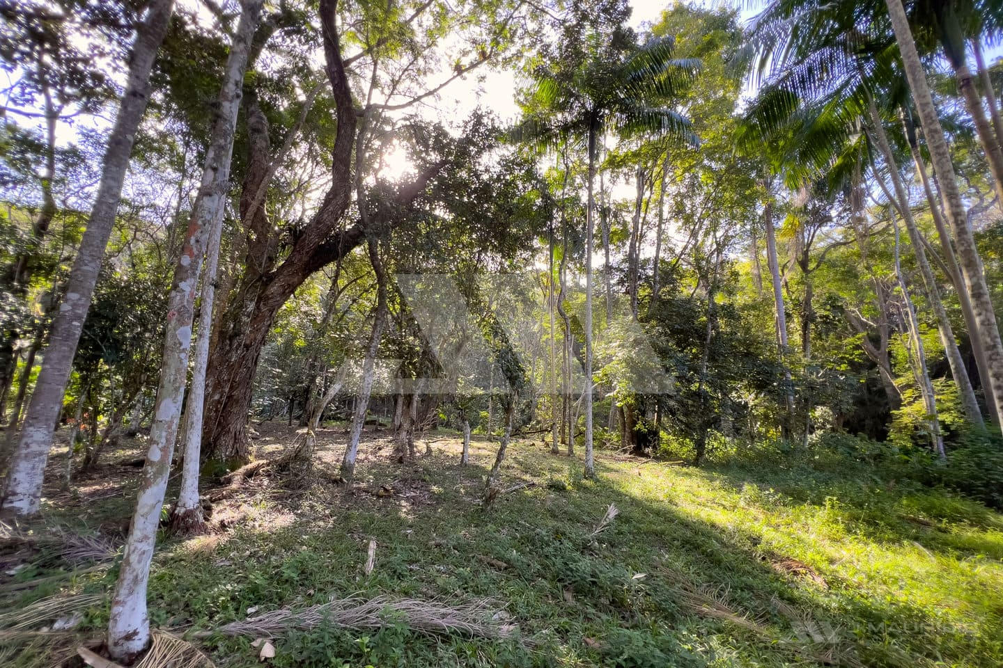 Terreno com perfil de sítio na Praia do Estaleiro