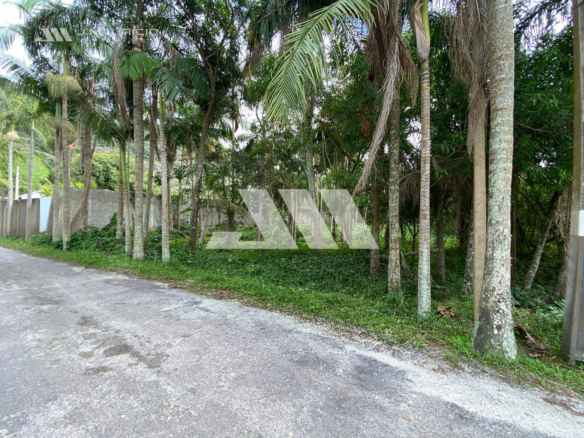 Terreno amplo na Praia de Taquaras com 1.066 m² e testada de 20 metros